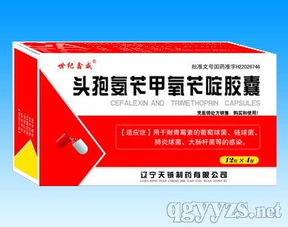 世紀鑫威 一站式專業(yè)代理服務，助您輕松拓展優(yōu)質產(chǎn)品資源